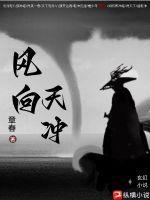 风向天冲纵横中文网