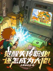 觉醒全职业